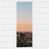 WallClassics - Muursticker - Cylindropuntia Fulgida Plantjes voor Berglandschap met Oranje Lucht - 20x60 cm Foto op Muursticker