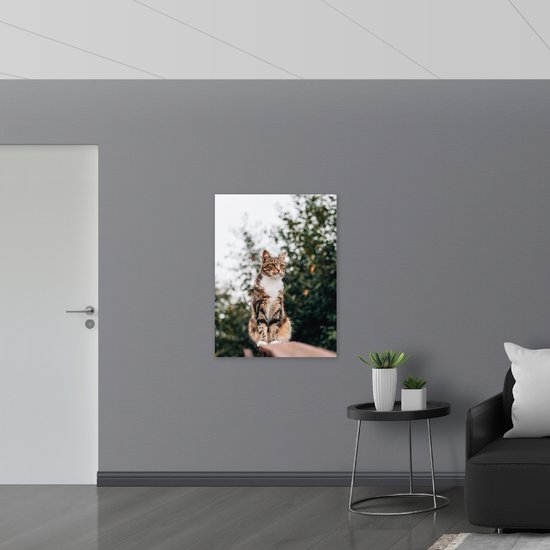 WallClassics - Acrylglas - Gevlekte Kat Wegkijkend - 75x100 cm Foto op Acrylglas (Wanddecoratie op Acrylaat)