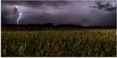 WallClassics - Poster (Mat) - Bliksemschicht bij Grasveld - 100x50 cm Foto op Posterpapier met een Matte look