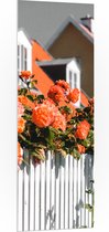 WallClassics - PVC Schuimplaat- Witte Schutting met Roze Tuinrozen - 50x150 cm Foto op PVC Schuimplaat