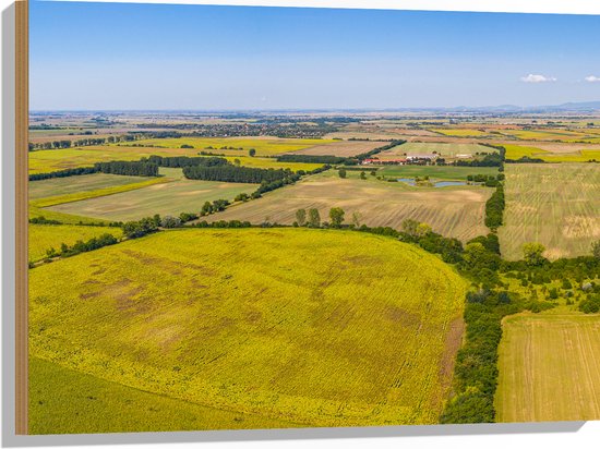 Hout - Bovenaanzicht Landschap met Gras en Planten - 80x60 cm - 9 mm dik - Foto op Hout (Met Ophangsysteem)