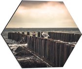 WallClassics - Dibond Hexagon - Meeuwen op Houten Palen bij de Zee - 40x34.8 cm Foto op Hexagon (Met Ophangsysteem)