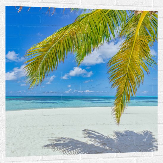 Muursticker - Palmbladeren Hangend voor Tropisch Eiland met Breed Strand - 100x100 cm Foto op Muursticker