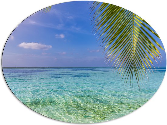 Dibond Ovaal - Palmbladen hangend voor een Heldere Oceaan - 96x72 cm Foto op Ovaal (Met Ophangsysteem)