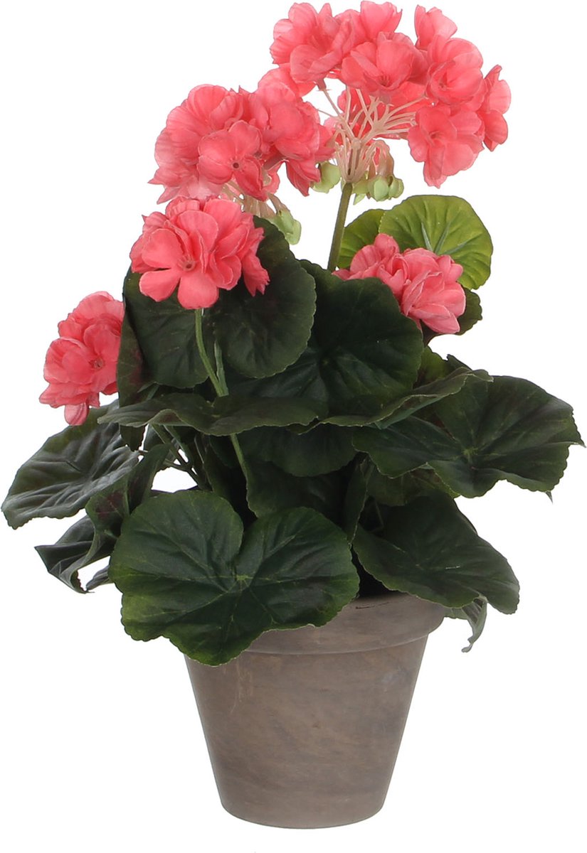 Mica Decorations Geranium Kunstplant in Bloempot Stan - H34 x Ø20 cm - Zalmroze zie afbeelding