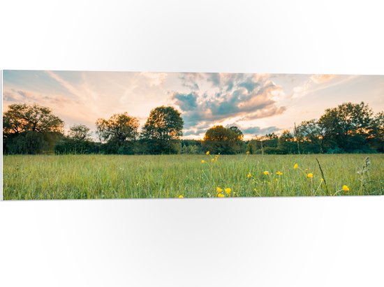 PVC Schuimplaat - Zonsondergang onder een Landschap met Gele Bloemen - 120x40 cm Foto op PVC Schuimplaat (Met Ophangsysteem)