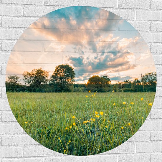 Muursticker Cirkel - Zonsondergang onder een Landschap met Gele Bloemen - 100x100 cm Foto op Muursticker
