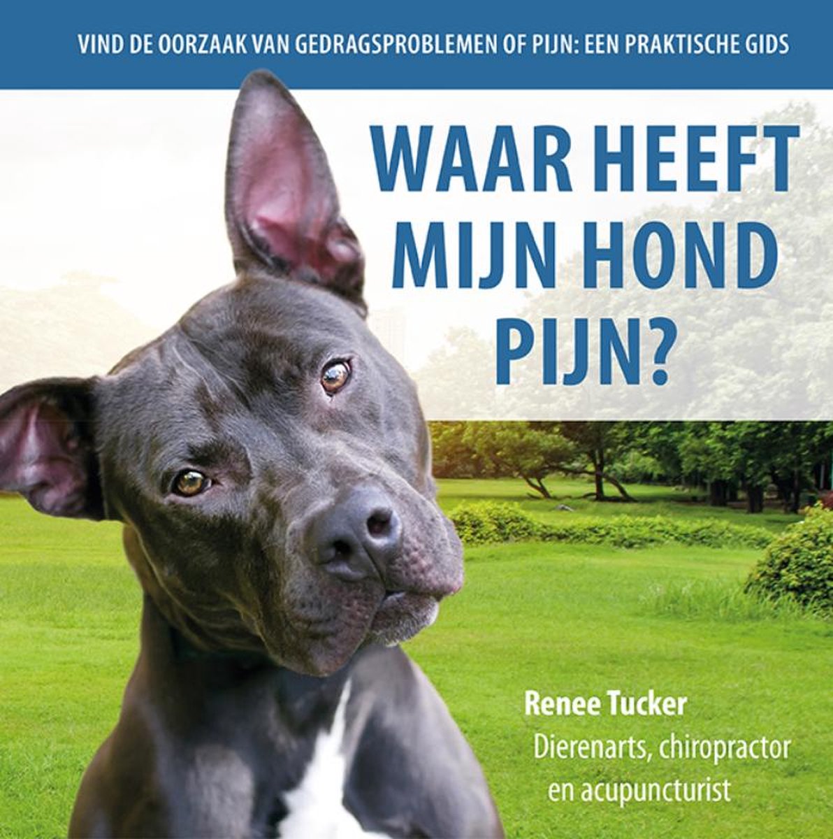 Waar heeft mijn hond pijn?, Renee Tucker 9789492284259 Boeken bol