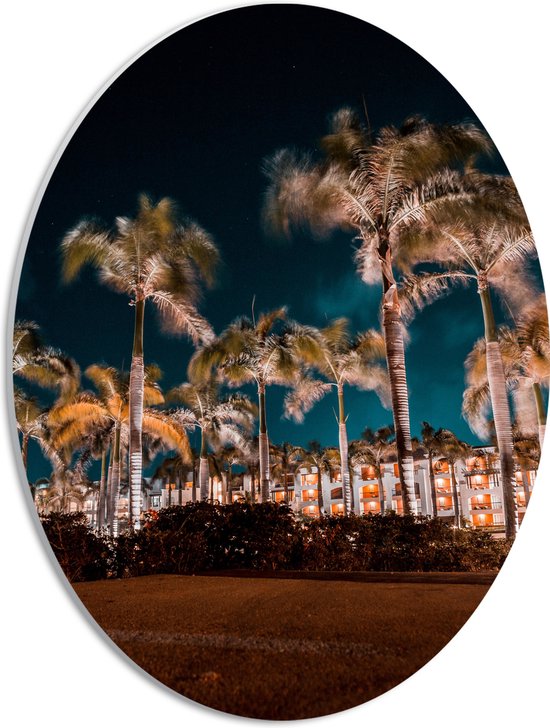 PVC Schuimplaat Ovaal - Verlichte Palmbomen in Nacht - 30x40 cm Foto op Ovaal (Met Ophangsysteem)