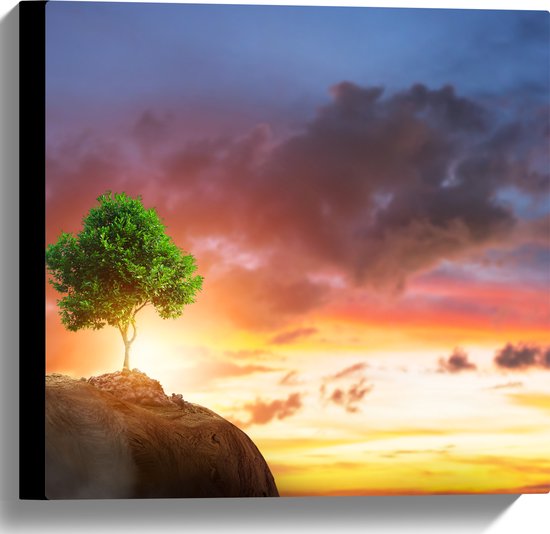 Canvas - Fel Groen Gekleurde Boom met Prachtige Zonsondergang op een Berglandschap - 40x40 cm Foto op Canvas Schilderij (Wanddecoratie op Canvas)