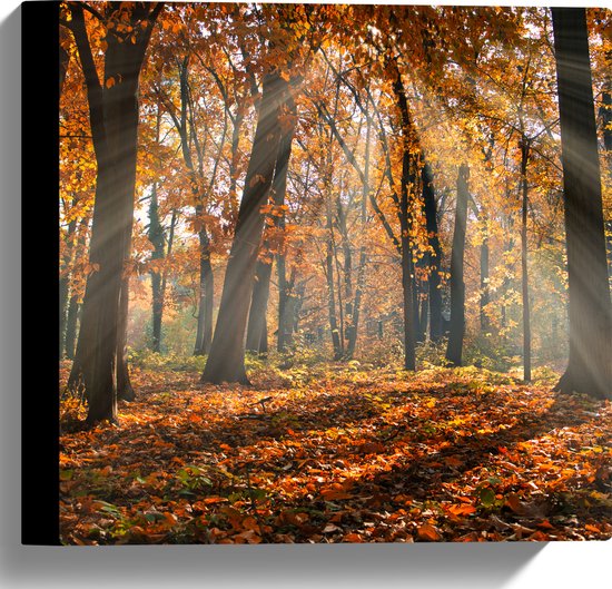 Canvas - Bos in de Herfst met Zonnestralen door de Bomen - 30x30 cm Foto op Canvas Schilderij (Wanddecoratie op Canvas)