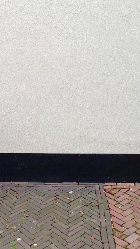 Goosecraft GC Rhonda Script Coat Veste Femme - Crème - Taille L