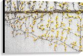 WallClassics - Toile - Fleurs jaunes au mur - Photo sur toile 90x60 cm (Décoration murale )