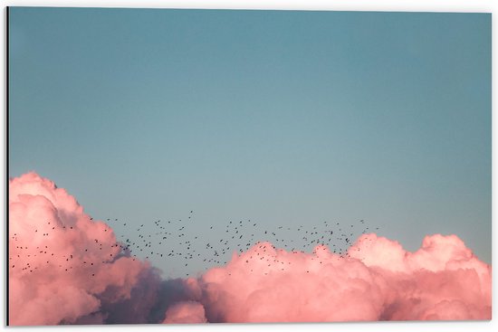 WallClassics - Dibond - Zwerm Vogels bij Roze Wolken in Blauwe Lucht - 60x40 cm Foto op Aluminium (Wanddecoratie van metaal)