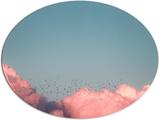 WallClassics - Dibond Ovaal - Zwerm Vogels bij Roze Wolken in Blauwe Lucht - 108x81 cm Foto op Ovaal (Met Ophangsysteem)