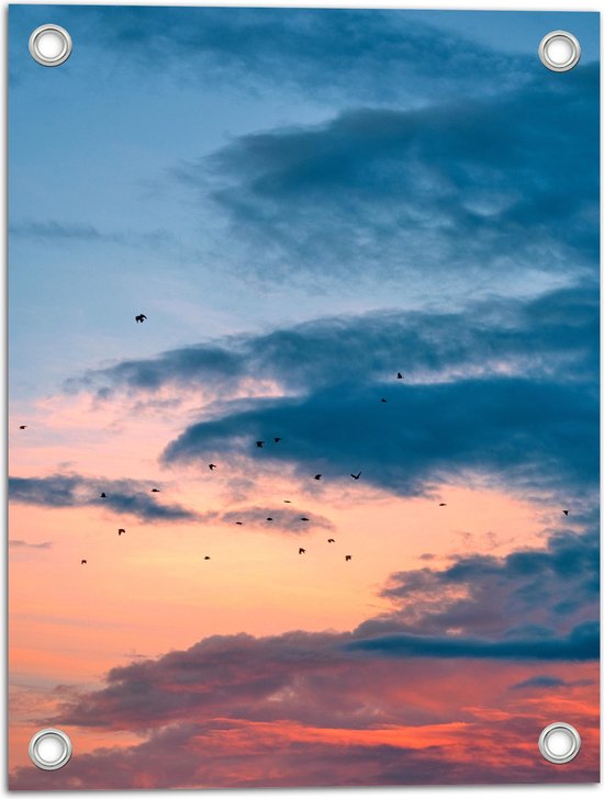 WallClassics - Tuinposter – Vogels bij Blauwe/ Oranje Wolken - 30x40 cm Foto op Tuinposter (wanddecoratie voor buiten en binnen)