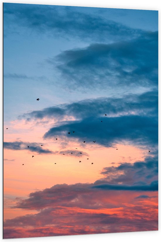 WallClassics - Dibond - Vogels bij Blauwe/ Oranje Wolken - 100x150 cm Foto op Aluminium (Met Ophangsysteem)