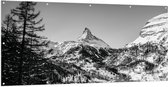 WallClassics - Tuinposter – Grote Boom voor Sneeuwbergen (zwart/ wit) - 200x100 cm Foto op Tuinposter (wanddecoratie voor buiten en binnen)