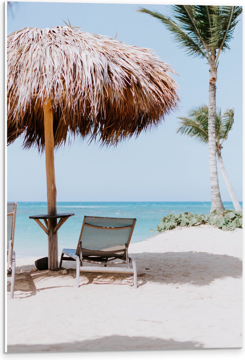 PVC Schuimplaat- Ligbedden onder Rieten Parasol met Palmboom - 40x60 cm Foto op PVC Schuimplaat