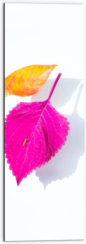 Dibond - Oranje en Roze Bladeren op Witte Achtergrond - 30x90 cm Foto op Aluminium (Wanddecoratie van metaal)