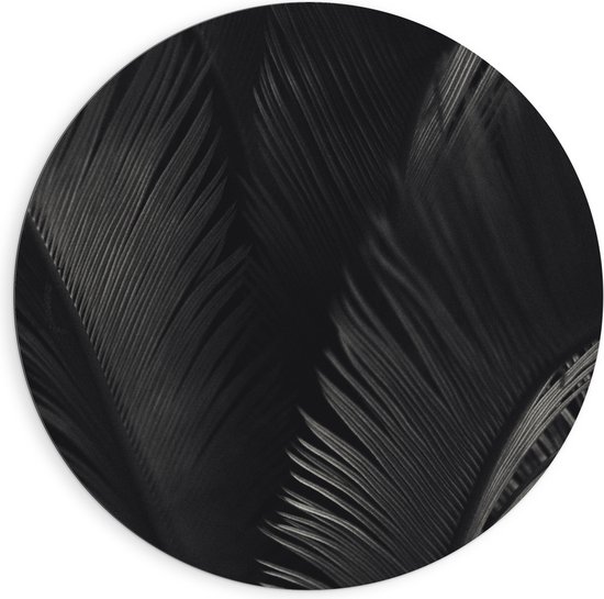 Dibond Muurcirkel - Zwarte Veren - 90x90 cm Foto op Aluminium Muurcirkel (met ophangsysteem)