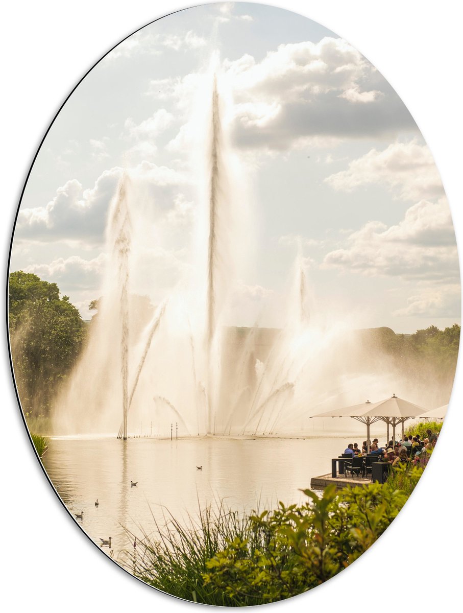 Dibond Ovaal - Waterfontein in een Meer - 60x80 cm Foto op Ovaal (Met Ophangsysteem)