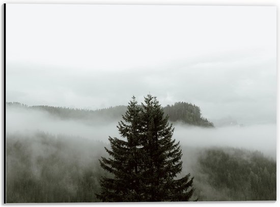 Dibond - Grote Groene Boom in Mist tussen Bossen - 40x30 cm Foto op Aluminium (Met Ophangsysteem)