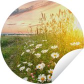 Tuincirkel Bloemen - Madelief - Natuur - Zon - Horizon - 60x60 cm - Ronde Tuinposter - Buiten