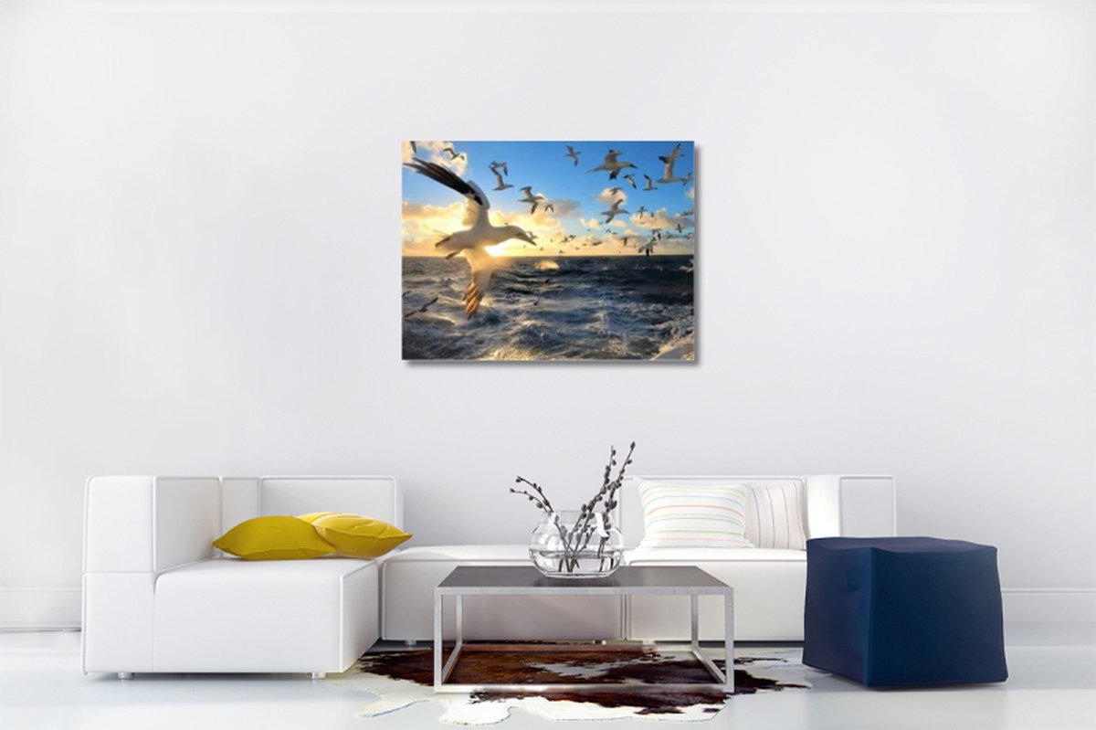 Canvas schilderij - zonsondergang - vogels van de zee - Pedro Rappé - Schilderijen op canvas - Canvas doek - 60x80 cm - Wanddecoratie - Woonkamer - slaapkamer - Souvenirs from the sea