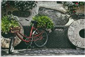 WallClassics - Acrylglas - Rode Fiets versierd met Planten tegen Stenen Muur - 75x50 cm Foto op Acrylglas (Wanddecoratie op Acrylaat)
