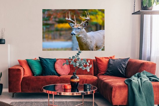 Cerf avec la tête dans l'air poster papier 120x80 cm - Tirage photo sur Poster (décoration murale salon / chambre) / Poster Animaux sauvages