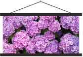 Posterhanger incl. Poster 120x60 cm - Schoolplaat - Bloemen - Hortensia - Struik - Roze - Bloemblaadjes - Textielposter - Zwarte latten