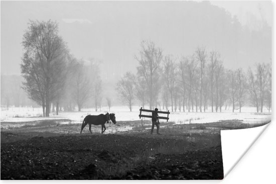 Poster Paard - Boerderij - Sneeuw - 60x40 cm
