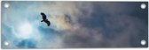 WallClassics - Tuinposter – Vliegende Roofvogel in de Lucht - 60x20 cm Foto op Tuinposter (wanddecoratie voor buiten en binnen)
