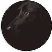 WallClassics - Dibond Muurcirkel - Zwarte Artistieke Hond - 20x20 cm Foto op Aluminium Muurcirkel (met ophangsysteem)