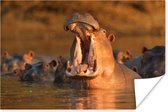 Nijlpaard met open bek Poster 180x120 cm - Foto print op Poster (wanddecoratie woonkamer / slaapkamer) / Wilde dieren Poster XXL / Groot formaat!
