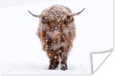 Schattige Schotse hooglander lopend door de sneeuw Poster 90x60 cm - Foto print op Poster (wanddecoratie woonkamer / slaapkamer) / Wilde dieren Poster