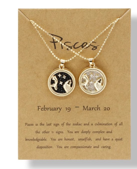 Dubbele sterrenbeeld Ketting op Kaart| Sieraden Cadeau | Vis - Pisces | BFF Ketting | Astrologie