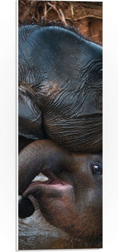 WallClassics - Panneau en mousse PVC - Garçon éléphant câlin - Photo 20x60 cm sur panneau en mousse PVC (avec système de suspension)