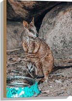WallClassics - Hout - Kangaroo met Jong bij Blauwe Drinkbak - 40x60 cm - 9 mm dik - Foto op Hout (Met Ophangsysteem)