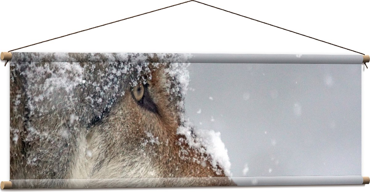 Textielposter - Vlokken Sneeuw op Kop van Geconcentreerde Wolf - 120x40 cm Foto op Textiel