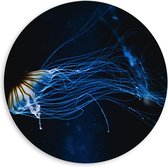 PVC Schuimplaat Muurcirkel - Lichtgevende Blauwe Kwal in de Zee - 60x60 cm Foto op Muurcirkel (met ophangsysteem)