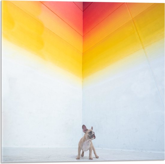 WallClassics - Acrylglas - Puppy onder Regenboog Street Art - 50x50 cm Foto op Acrylglas (Met Ophangsysteem)