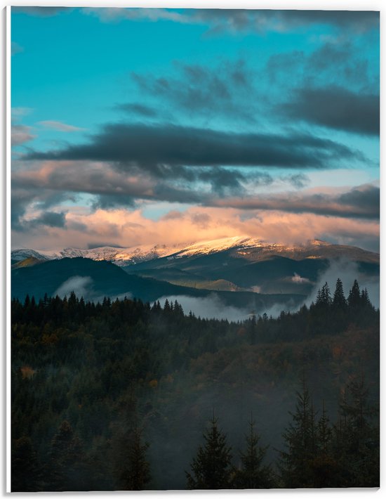 PVC Schuimplaat - Bos aan de Rand van Berglandschap onder Sluierbewolking - 30x40 cm Foto op PVC Schuimplaat (Met Ophangsysteem)