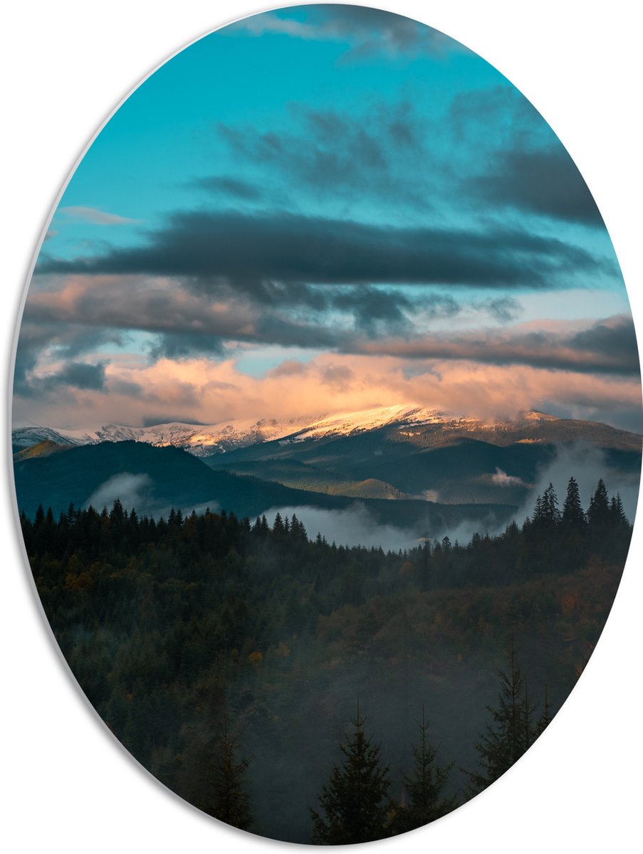 PVC Schuimplaat Ovaal - Bos aan de Rand van Berglandschap onder Sluierbewolking - 51x68 cm Foto op Ovaal (Met Ophangsysteem)