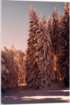 WallClassics - Acrylglas - Bomen in het Bos onder de Sneeuw - 60x90 cm Foto op Acrylglas (Wanddecoratie op Acrylaat)