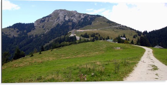 Dibond - Pad naar Berg met Begroeiing - 100x50 cm Foto op Aluminium (Wanddecoratie van metaal)