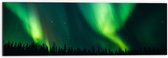 Dibond - Groene Lichtstralen van het Noorderlicht - 60x20 cm Foto op Aluminium (Wanddecoratie van metaal)