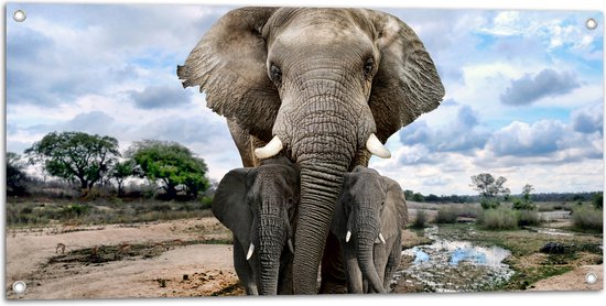 Tuinposter – Aankijkende Olifant met Jongen in Moerassig Landschap - 100x50 cm Foto op Tuinposter (wanddecoratie voor buiten en binnen)