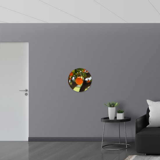 WallClassics - Cercle Mural en Plaque de Mousse PVC - Oranges sur l'Arbre - 50x50 cm Photo sur Cercle Mural (avec système d'accrochage)